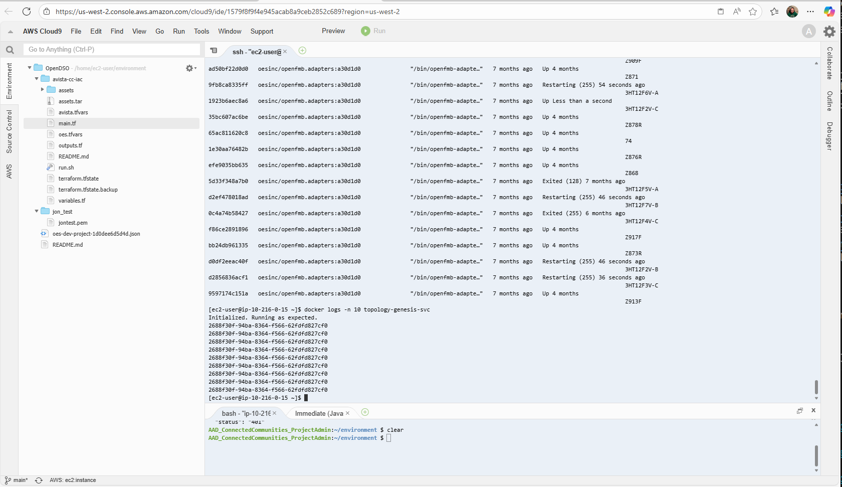 Docker logs for topology service
