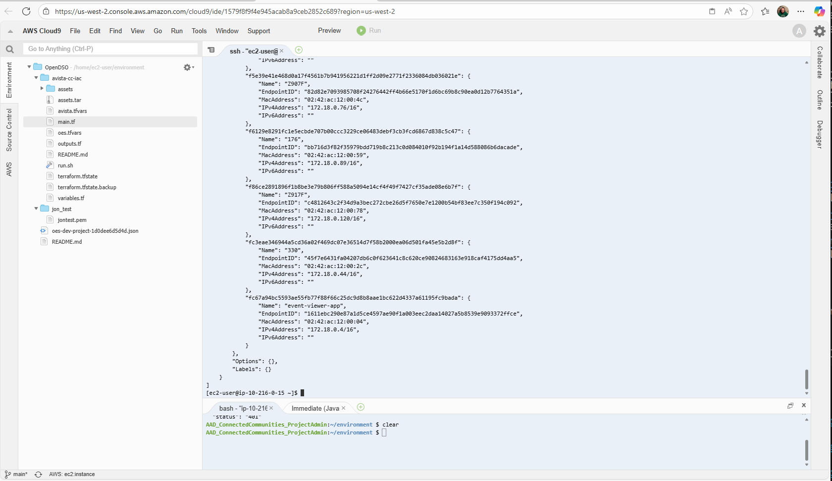 Docker network inspect showing container details