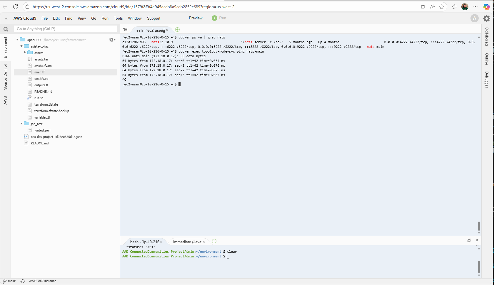 Pinging NATS from within a container